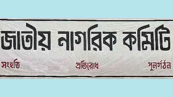 জাতীয় নাগরিক কমিটি