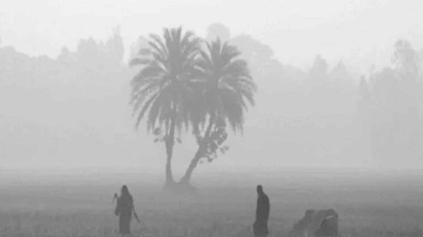 শৈত্যপ্রবাহ/শীত