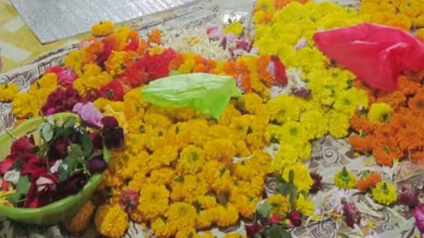 বাকৃবিতে ফুল চুরি