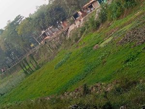  "ব্রহ্মপুত্রের তীরে অবৈধ স্থাপনার দৌরাত্ম্য—নদী হারাচ্ছে নিজস্বতা।"