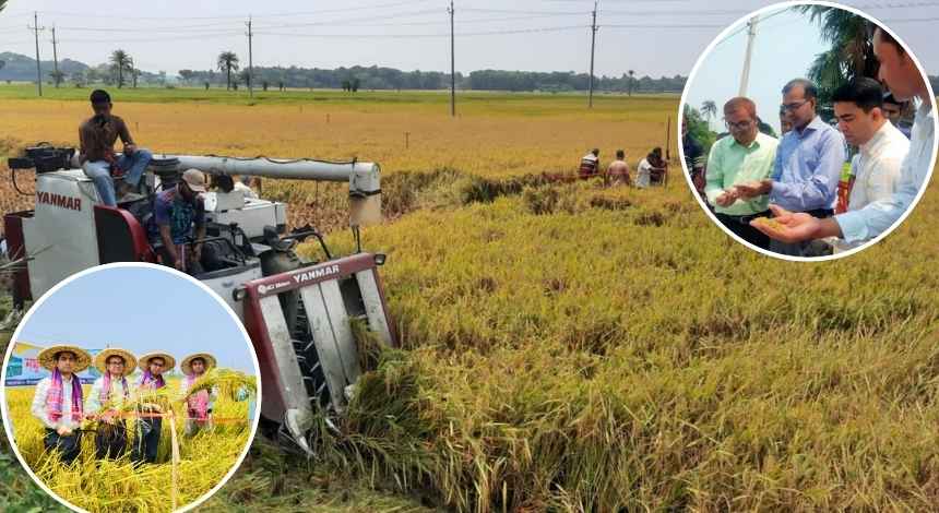 কালীগঞ্জে সরকারি সহায়তায় কম্বাইন্ড হারভেস্টার দিয়ে ১৫০ বিঘা জমির ধান কর্তনের উদ্বোধন