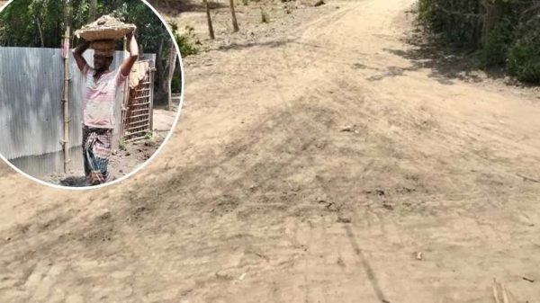 টিআর প্রকল্পে মাটি ফেলে দায়সারা কাজ চলছে ঝিনাইদহে—নেই কোনো ফ্ল্যাট সলিংয়ের ছাপ, অভিযোগ এলাকাবাসীর।