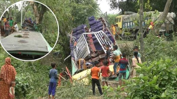 দুর্ঘটনার পর বাসের ছাঁদ খুলে গাছে ঝুলে রয়েছে — বড়দাহ এলাকায় ঘটেছে ভয়াবহ দৃশ্য।