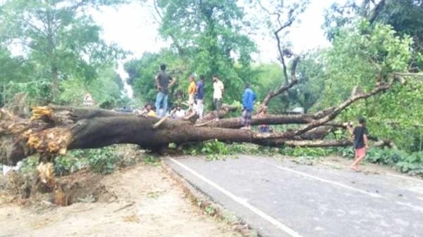 পটুয়াখালীর দুমকীতে কালবৈশাখীতে তাণ্ডব