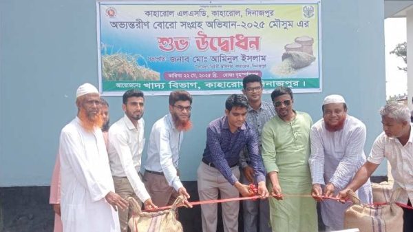 কাহারোলে অভ্যন্তরীণ বোরো সংগ্রহ অভিযান ২০২৫ শুরু, ধান ও চাল সংগ্রহে নির্ধারিত লক্ষ্যমাত্রা