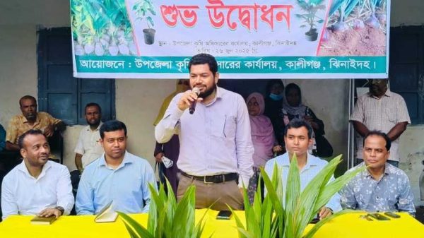 কালীগঞ্জে ৫৫০ কৃষকের মাঝে নারিকেল চারা বিতরণ