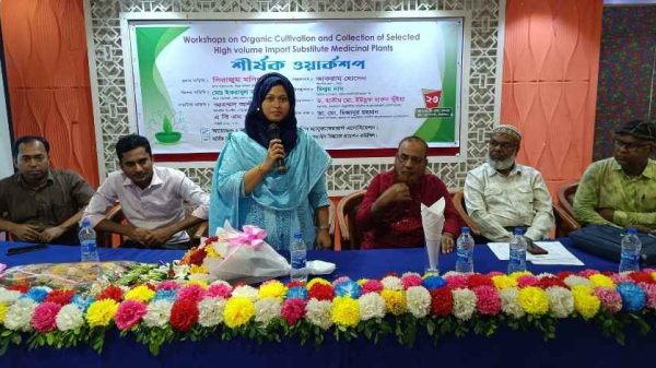 ঝিনাইদহে ভেষজ উদ্ভিদের জৈব চাষাবাদ নিয়ে কর্মশালা, আমদানি নির্ভরতা কমানোর তাগিদ