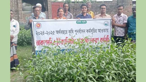 কাহারোলে পরিবেশবান্ধব উদ্যোগে ৯ হাজার ইউক্যালিপ্টাস ও আকাশমনি চারা ধ্বংস
