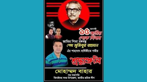 ঝিনাইদহে ভূমিদস্যু বাহার আবার সক্রিয়: দল বদলে ফিরেছে পুরনো কৌশলে
