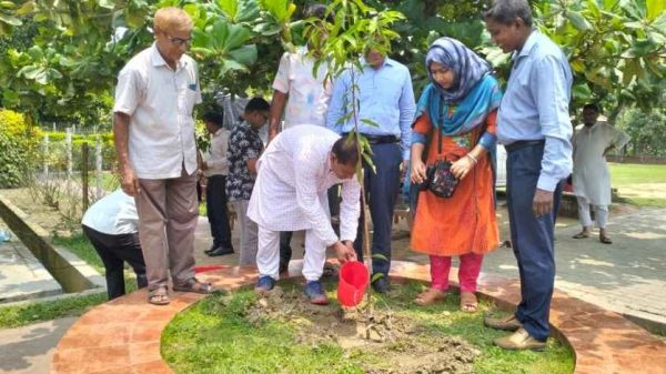 কাহারোলে এক দিনে ৪২ হাজার গাছ রোপণ: জেলা প্রশাসকের উদ্যোগে বৃক্ষরোপণ কর্মসূচি