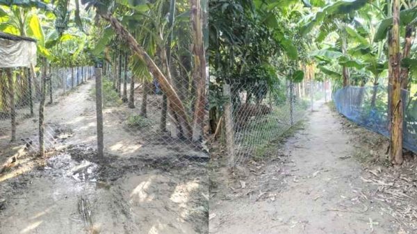 শৈলকুপায় জমি নিয়ে বিরোধ, পরিবারের রাস্তা দখল করে গৃহবন্দি করে রাখার অভিযোগ