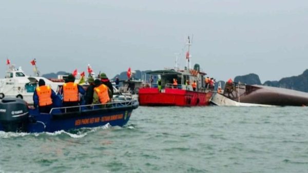 ভিয়েতনামের হা লং উপসাগরে নৌকা ডুবে ২৮ জনের মৃত্যু, নিখোঁজ অনেকে