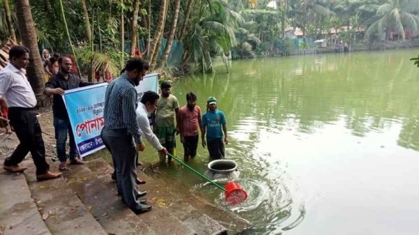 পিরোজপুরের ইন্দুরকানীতে জলাশয় ও ধানক্ষেতে ৭২২ কেজি পোনামাছ অবমুক্ত করেছে উপজেলা মৎস্য দপ্তর। এতে মাছের উৎপাদন বৃদ্ধি, প্রোটিনের চাহিদা পূরণ ও মৎস্যচাষিদের আয় বাড়বে বলে আশা করা হচ্ছে।
