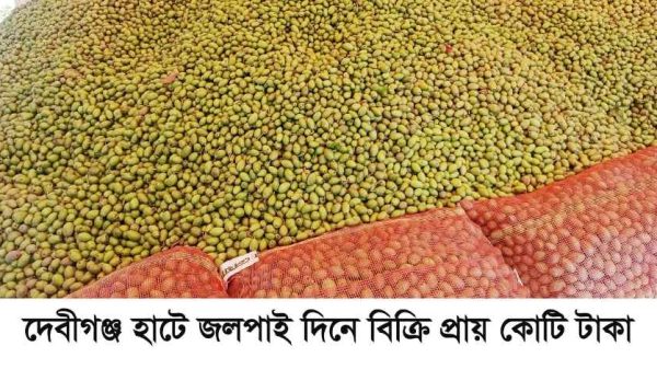 পঞ্চগড়ের দেবীগঞ্জ হাটে প্রতিদিন প্রায় কোটি টাকার জলপাই বেচাকেনা হয়। দেশের বিভিন্ন জেলা থেকে চাষি ও পাইকাররা এসে অংশ নিচ্ছেন এই ঐতিহ্যবাহী জলপাই বাজারে, যা গ্রামীণ অর্থনীতিতে গুরুত্বপূর্ণ ভূমিকা রাখছে।