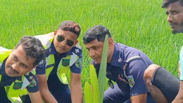 বজ্রপাত প্রতিরোধ ও পরিবেশের ভারসাম্য রক্ষায় ঝিনাইদহে হাইওয়ে পুলিশের উদ্যোগে মহাসড়কের পাশে তালগাছের চারা রোপণ করা হয়েছে। এই উদ্যোগ পরিবেশ সচেতনতা বৃদ্ধি ও জলবায়ু পরিবর্তন মোকাবিলায় গুরুত্বপূর্ণ ভূমিকা রাখবে।