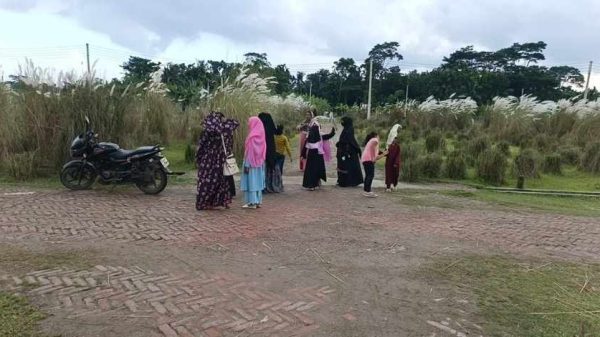 নীল আকাশে সাদা মেঘ আর কাশফুলের দোলায় এখন উৎসবমুখর পিরোজপুর। প্রকৃতিপ্রেমীরা ছুটে আসছেন শরতের শুভ্র কাশবনের মনোমুগ্ধকর সৌন্দর্য উপভোগ করতে।