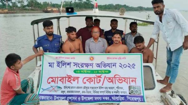 পিরোজপুরের মঠবাড়িয়ায় সরকারি নিষেধাজ্ঞা অমান্য করে বলেশ্বর নদীতে ইলিশ মাছ ধরার দায়ে তিন জেলেকে ৪৫ হাজার টাকা জরিমানা করেছে ভ্রাম্যমান আদালত। মা ইলিশ সংরক্ষণে উপজেলা প্রশাসনের অভিযান অব্যাহত থাকবে বলে জানিয়েছেন মৎস্য কর্মকর্তা।