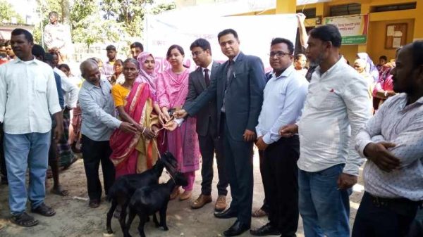 দিনাজপুরের কাহারোলে ক্ষুদ্র নৃ-গোষ্ঠীদের আর্থ-সামাজিক উন্নয়নে ৯১ পরিবারে ১৮২টি উন্নত জাতের ছাগল ও উপকরণ বিতরণ করেছে প্রাণী সম্পদ দপ্তর। টেকসই জীবিকা গঠনে এ উদ্যোগ গুরুত্বপূর্ণ ভূমিকা রাখবে বলে জানিয়েছে কর্তৃপক্ষ।