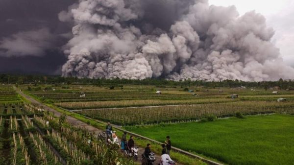 ইন্দোনেশিয়ার জাভা দ্বীপে সেমেরু আগ্নেয়গিরির অগ্ন্যুৎপাতের পর প্রায় ৯০০ মানুষ আশ্রয়কেন্দ্রে আশ্রয় নিয়েছে। বাড়িঘর ক্ষতিগ্রস্ত এবং ১৯০ জনকে পাহাড়ের ঢাল থেকে সরিয়ে নেওয়া হয়েছে। সতর্কতা স্তর সর্বোচ্চ পর্যায়ে।