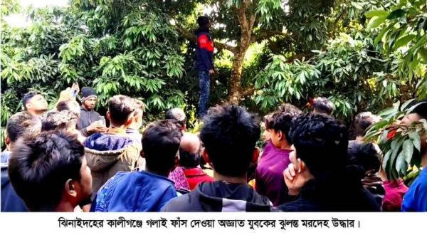 ঝিনাইদহের কালীগঞ্জে একটি লিচু বাগান থেকে গাছে ঝুলন্ত অবস্থায় জসিম উদ্দিন (২৭) নামে এক যুবকের মরদেহ উদ্ধার করেছে পুলিশ। ময়নাতদন্তের পর মৃত্যুর কারণ জানা যাবে।