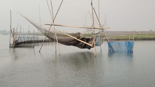 মুন্সীগঞ্জের টঙ্গীবাড়ি, লৌহজং ও সদর উপজেলার নদীতে বাঁশ ও জালের স্থায়ী কাঠামো দিয়ে অবৈধভাবে মাছ শিকার চলছে। এতে পরিবেশ, নৌযান চলাচল ও জেলেদের জীবিকা মারাত্মক হুমকিতে পড়েছে।