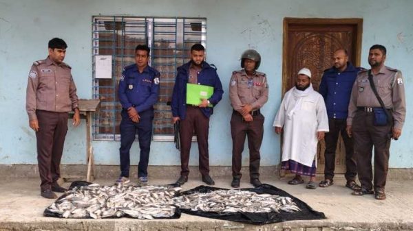 মুন্সীগঞ্জের টঙ্গীবাড়ী উপজেলার দিঘিরপাড় মাছ বাজারে নৌ পুলিশের অভিযানে ৭০ কেজি জাটকা ইলিশ জব্দ করা হয়েছে। পরে জব্দকৃত মাছ স্থানীয় মাদ্রাসায় বিতরণ করা হয়।