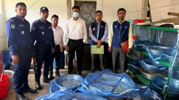 ঝিনাইদহে অনুমোদন ছাড়াই মিষ্টি উৎপাদন ও বিক্রির অভিযোগে সুইট হোটেল অ্যান্ড রেস্টুরেন্টকে ১০ হাজার টাকা জরিমানা করেছে ভ্রাম্যমাণ আদালত। বিএসটিআই ও জেলা প্রশাসনের যৌথ অভিযানে এ ব্যবস্থা নেওয়া হয়।