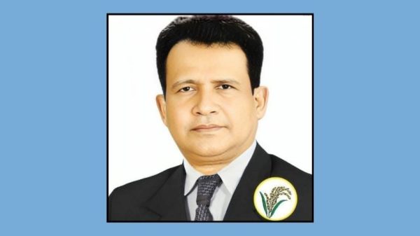 খুলনা-৪ আসনের এমপি এস কে আজিজুল বারী হেলাল খুলনা কৃষি বিশ্ববিদ্যালয়ের সিন্ডিকেট সদস্য হিসেবে মনোনীত হয়েছেন। দিঘলিয়া প্রেসক্লাব এ সিদ্ধান্তকে স্বাগত জানিয়েছে।