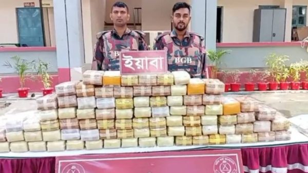 টেকনাফ সীমান্তে বিজিবির অভিযানে ৮ লাখ ৫৯ হাজার ইয়াবা উদ্ধার। মিয়ানমার থেকে পাচারের সময় জব্দ করা হয় এসব মাদক।