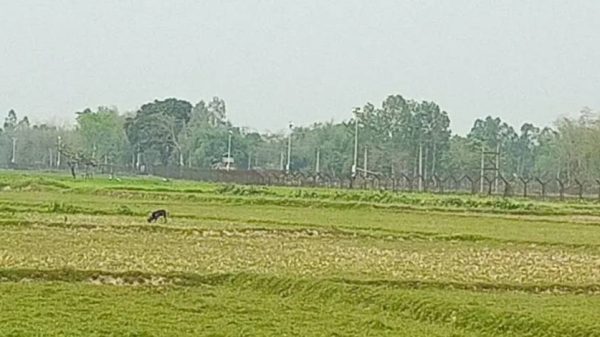 লালমনিরহাটের পাটগ্রাম সীমান্তে বিএসএফের গুলিতে বাংলাদেশি কৃষক আহত। ঘটনায় উত্তেজনা, বিজিবি-বিএসএফ পতাকা বৈঠক।