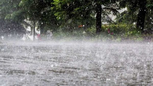 বাংলাদেশে ভারী বর্ষণ, বজ্রপাত ও ঝড়ের সতর্কবার্তা জারি করেছে আবহাওয়া অধিদপ্তর
