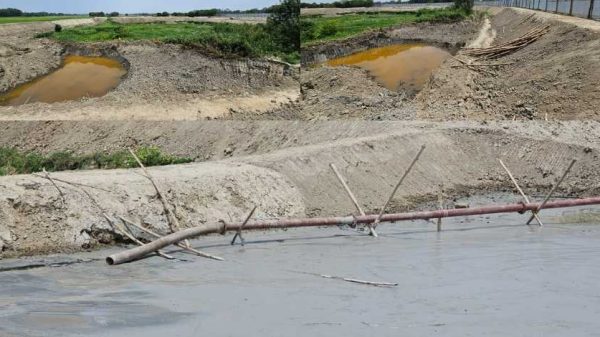 মুন্সীগঞ্জের লৌহজংয়ে সরকারি খাল দখল ও ৪ একর কৃষিজমি ভরাটের অভিযোগ উঠেছে। রাতের আঁধারে কাজ, প্রশাসনের ভূমিকা নিয়ে প্রশ্ন।