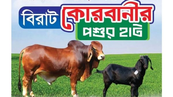 টঙ্গীবাড়ীর হাসাইল বানারী উচ্চ বিদ্যালয় মাঠে কোরবানির পশুর হাট নিয়ে প্রচারণা