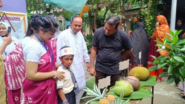 ঝিনাইদহ ল্যাবরেটরি স্কুলে আয়োজিত ফল উৎসবে ২৮ প্রজাতির দেশীয় ফল প্রদর্শন করছেন শিক্ষার্থীরা